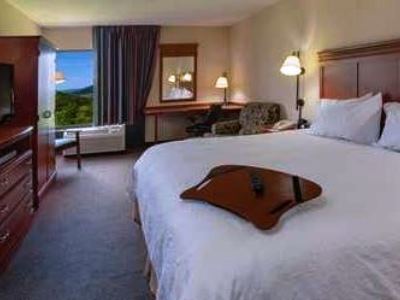 Hotel Hampton Hazleton